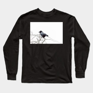 Jackdaw on a branch Long Sleeve T-Shirt